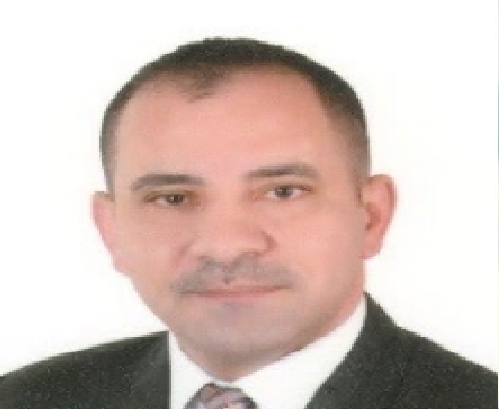 Prof. Amr Abdel-Ghani